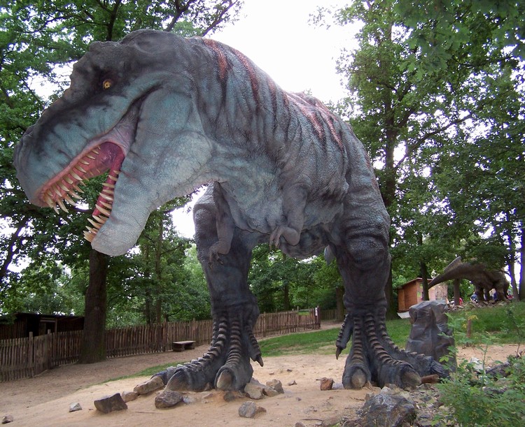 DINOSAUŘI (1)